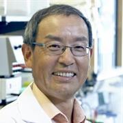 Profile photo for Yingfu Li