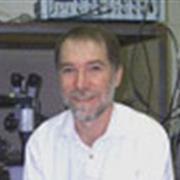 Profile photo for Michael J O'donnell