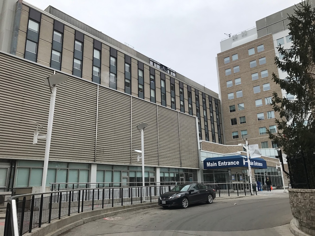 Sidney Stacey – Profile Overview